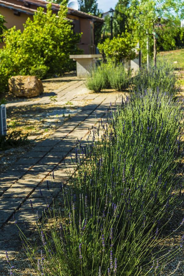 Agriturismo Poggio Di Maremma Pescia Romana Bagian luar foto